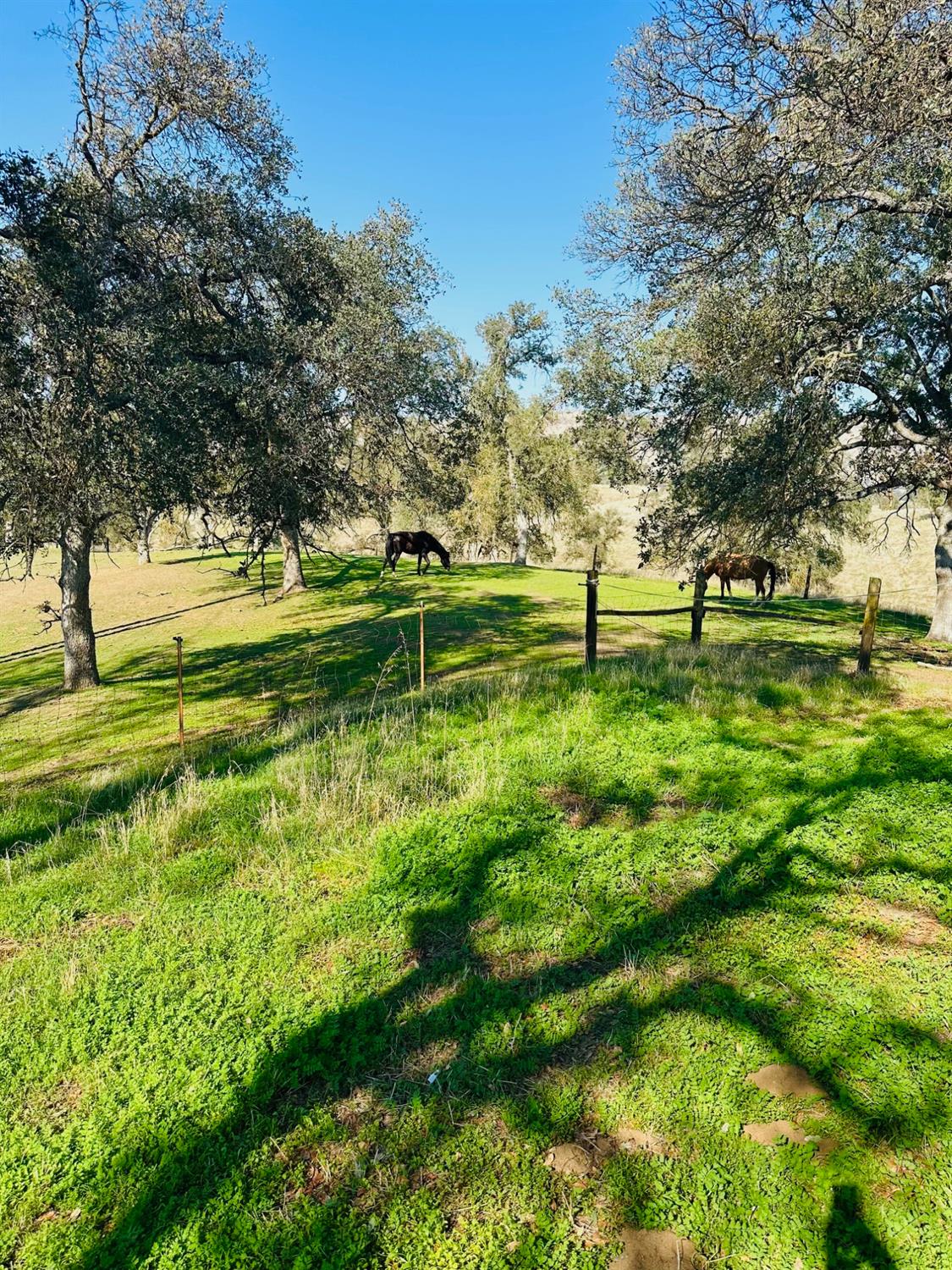 10740 Ferguson Road, Clovis, CA, 93619