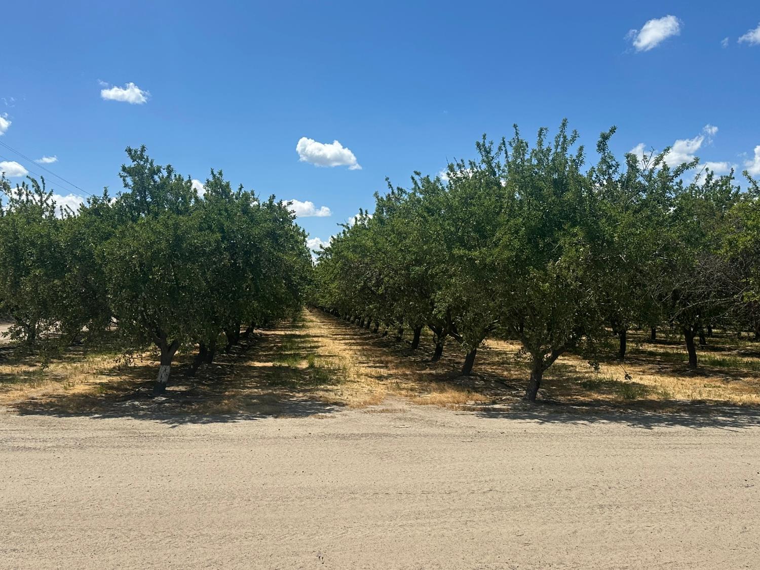 10255 W Manning Avenue, Fresno, CA, 93706