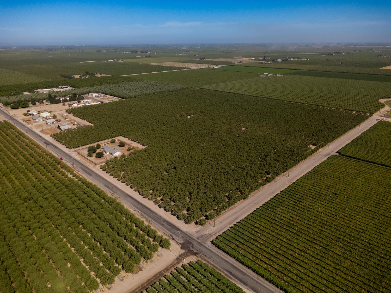 Farm in Kingsburg - photo 3