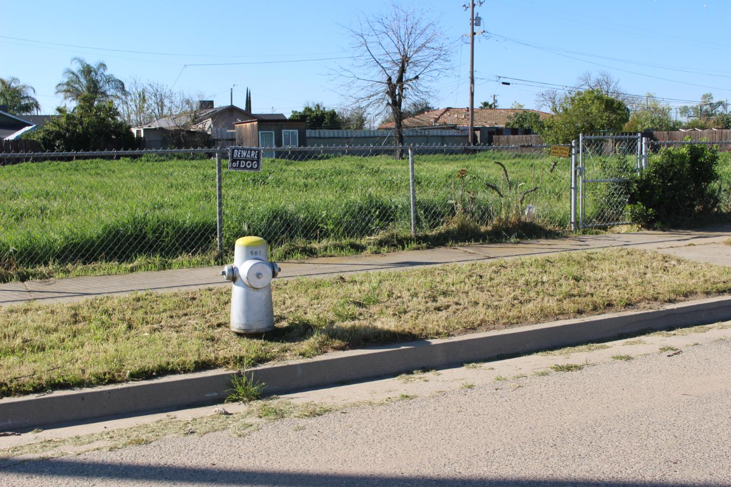 Vacant Lot in Fresno - photo 3