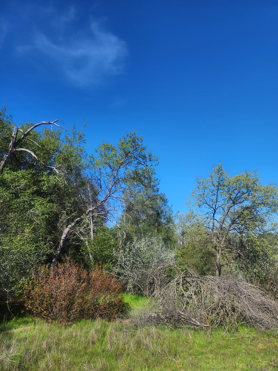 Vacant Lot in Coarsegold - photo 3