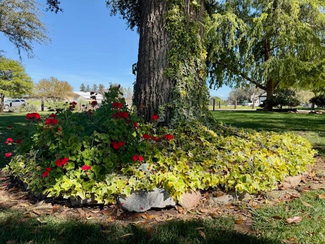 6560 Bethel, Clovis, CA, 93619