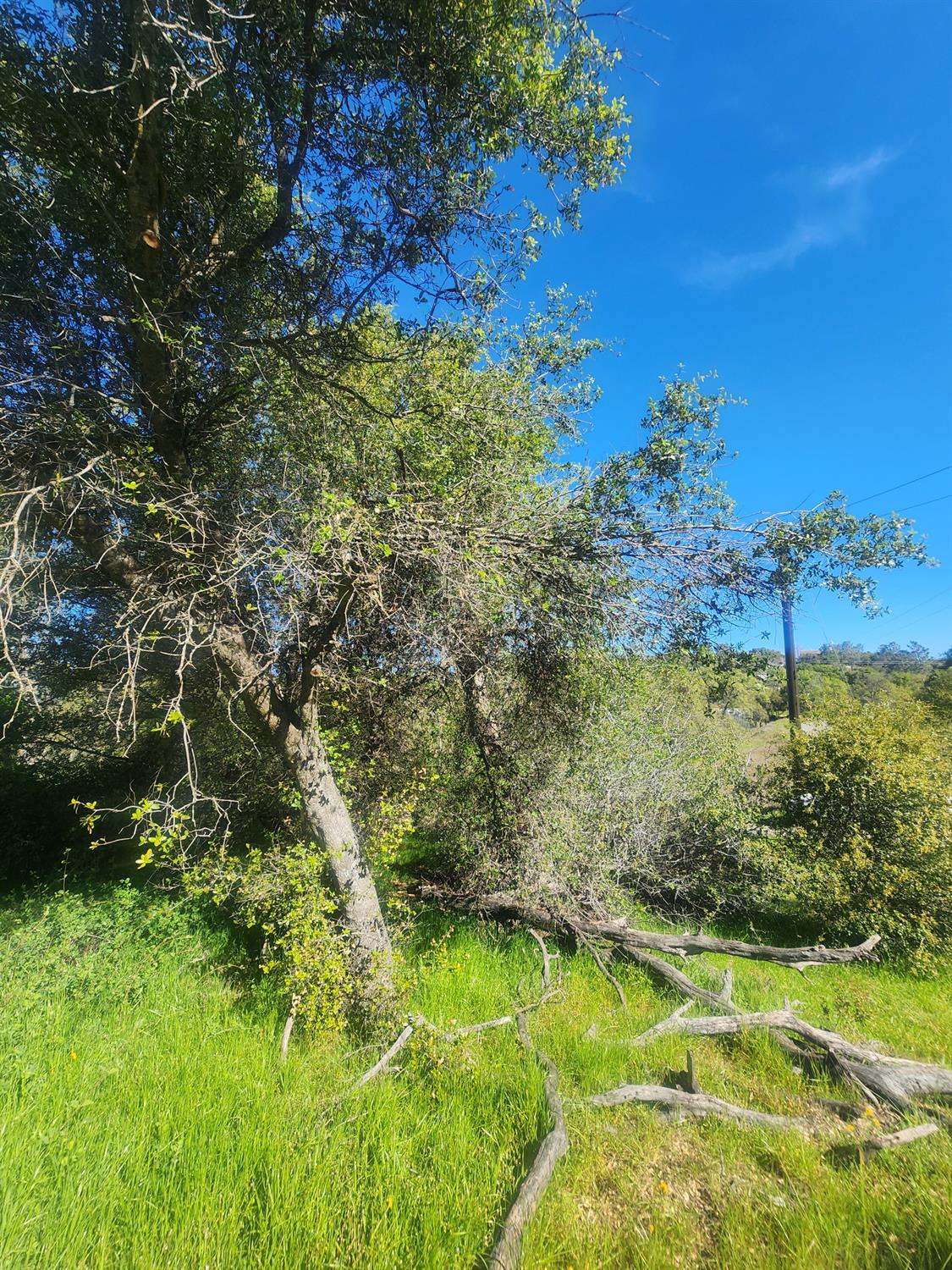 Vacant Lot in Coarsegold - photo 2