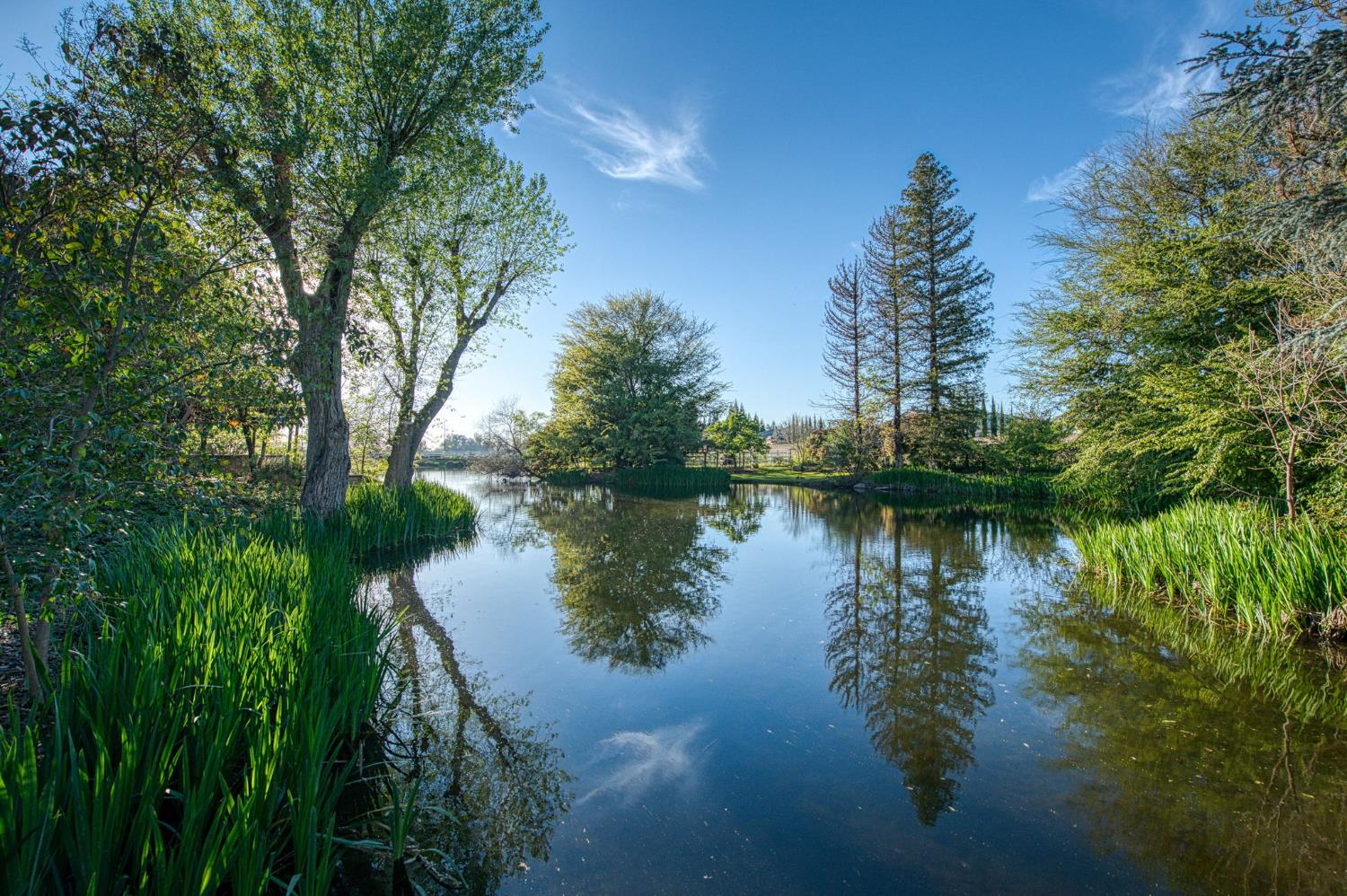 2649 Heritage Avenue, Clovis, CA, 93619