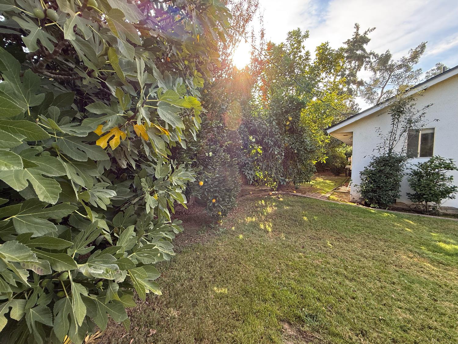 2510 W Escalon Avenue, Fresno, CA, 93711