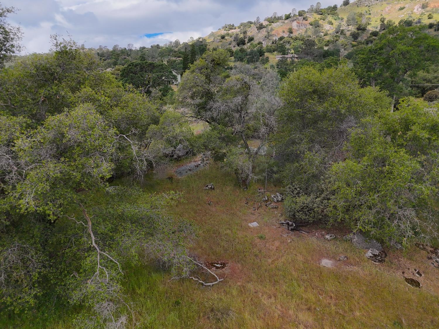 Vacant Lot in Coarsegold - photo 3