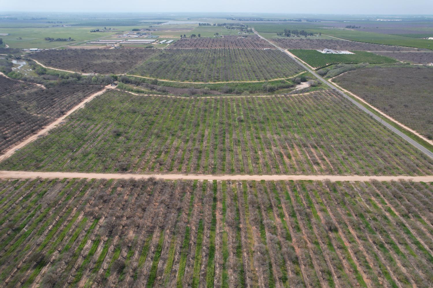 Farm in Madera - photo 3