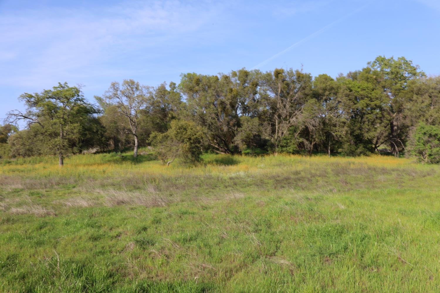 Vacant Lot in Coarsegold - photo 3
