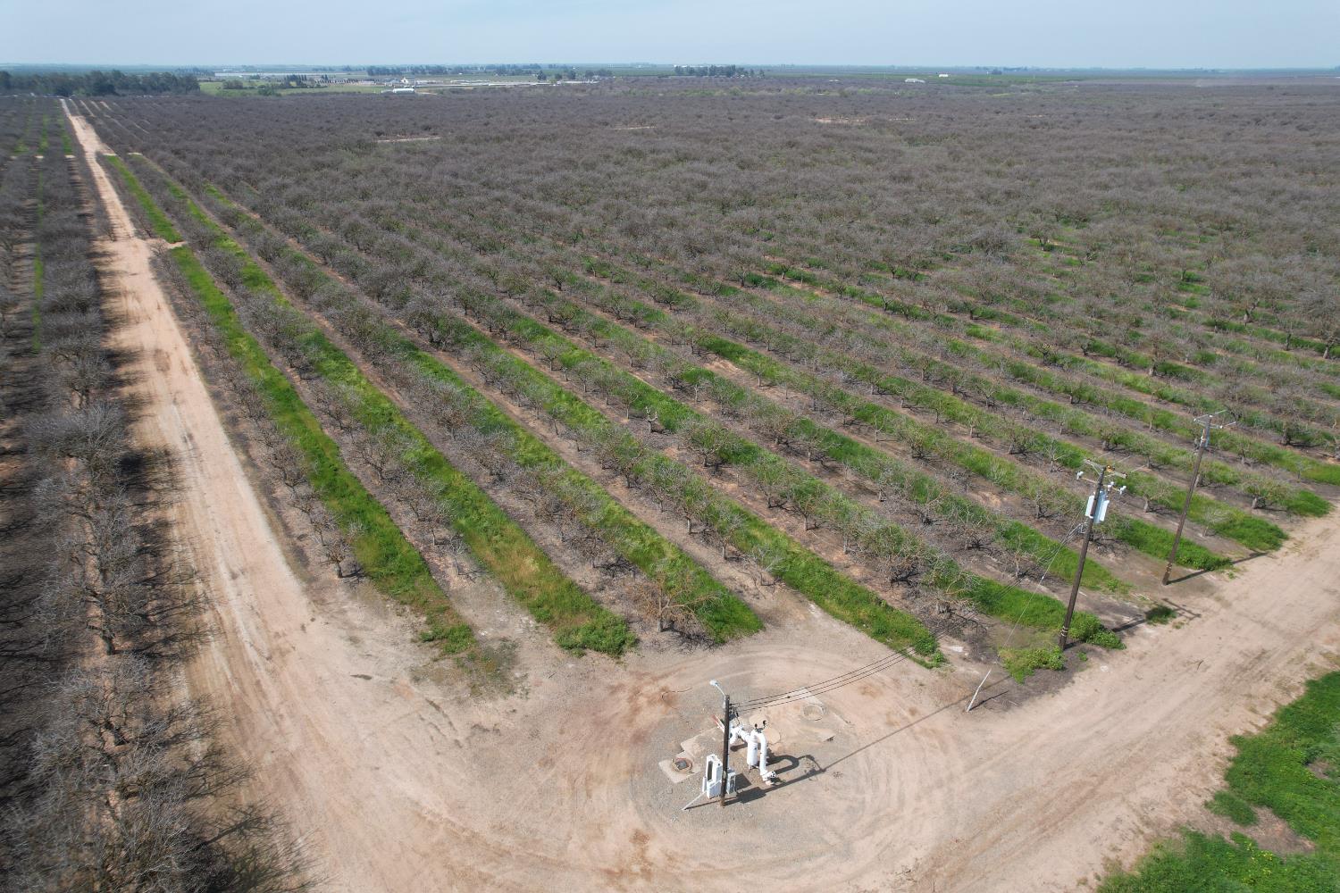 Farm in Madera - photo 2