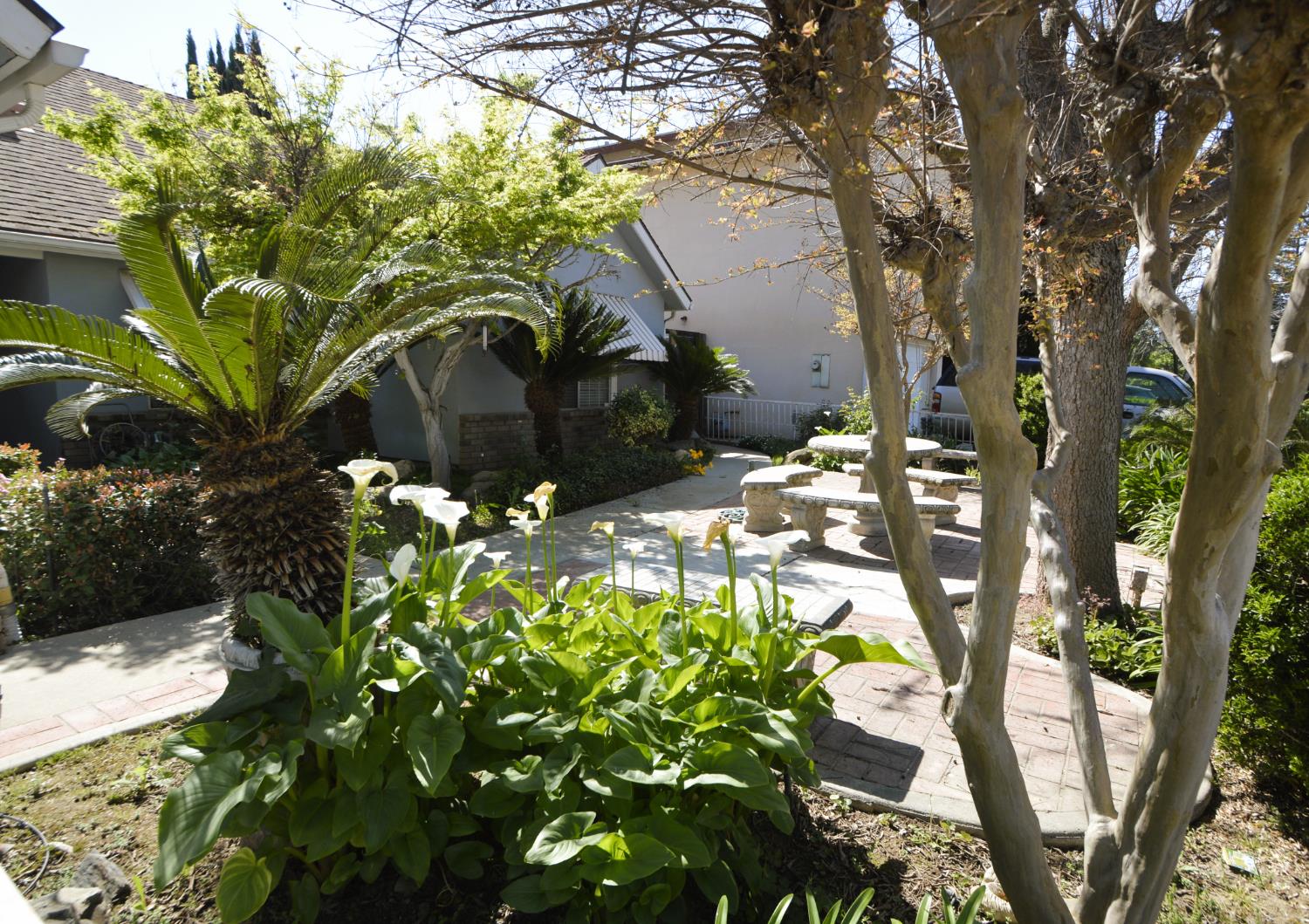 Photo 7