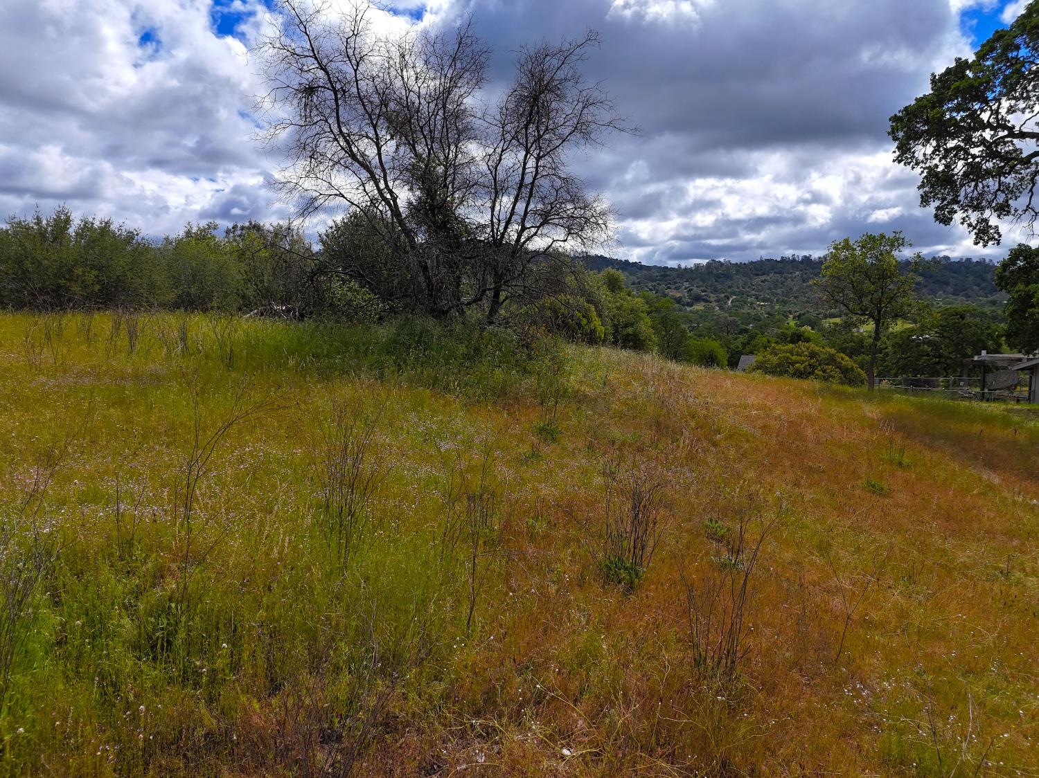 Vacant Lot in Coarsegold