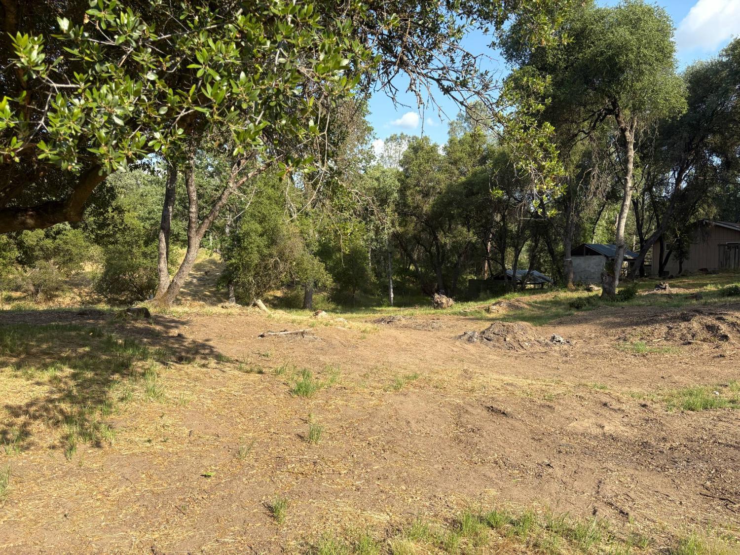 Vacant Lot in Coarsegold
