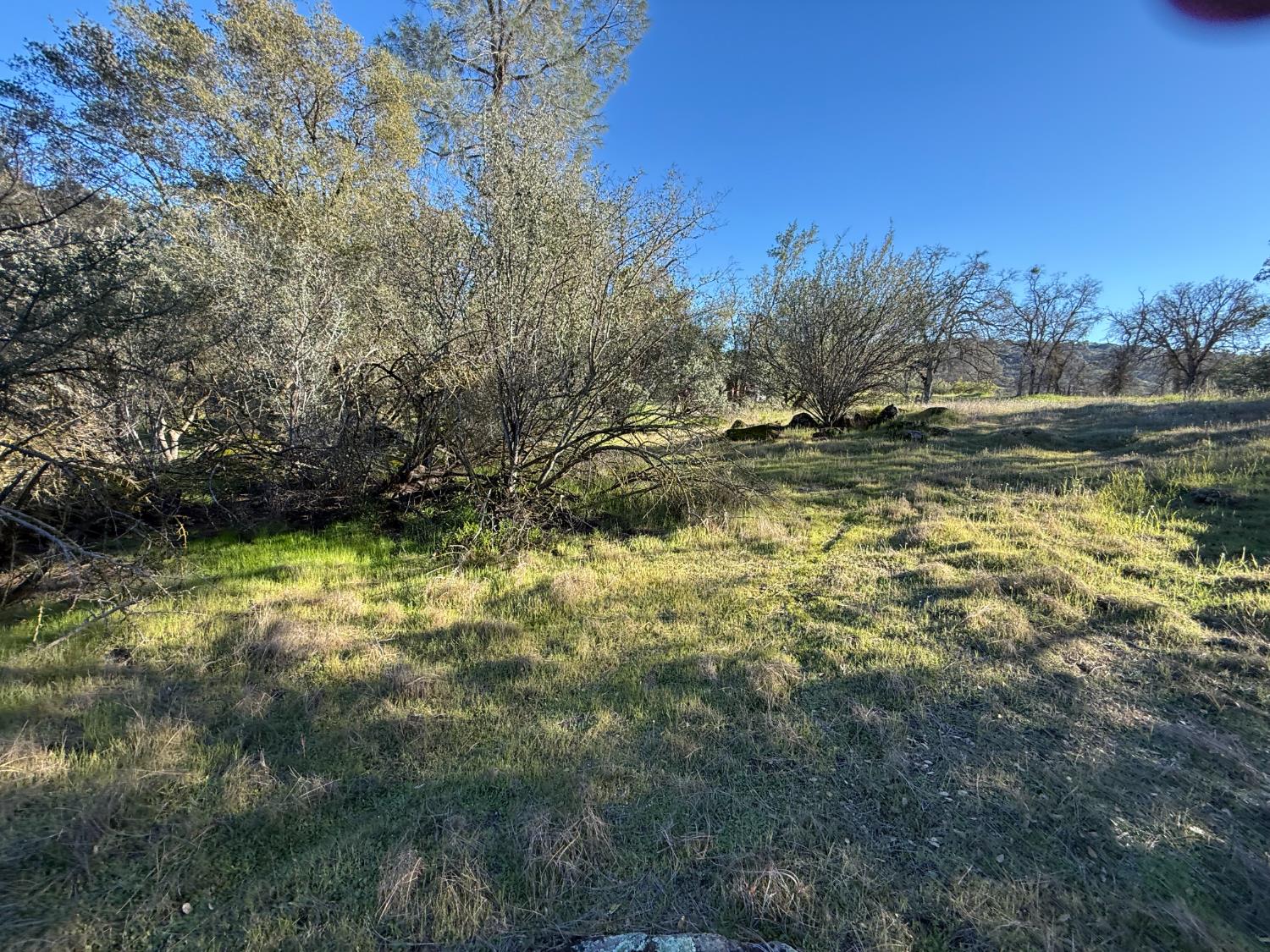 Vacant Lot in Coarsegold - photo 2