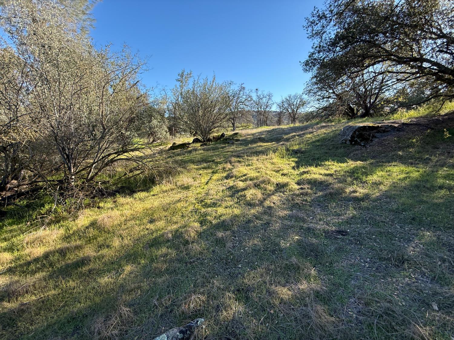 Vacant Lot in Coarsegold - photo 3