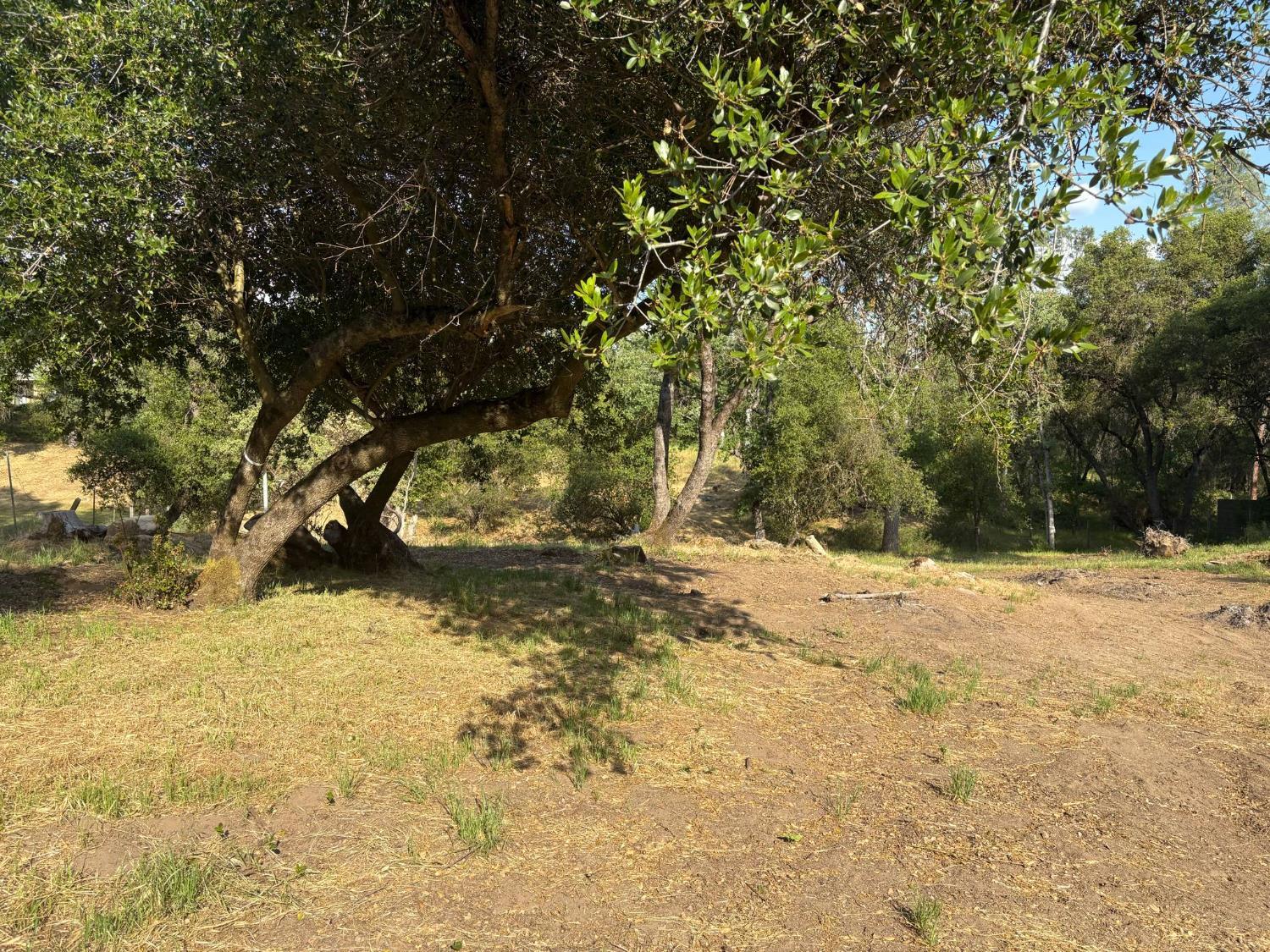 Vacant Lot in Coarsegold - photo 2