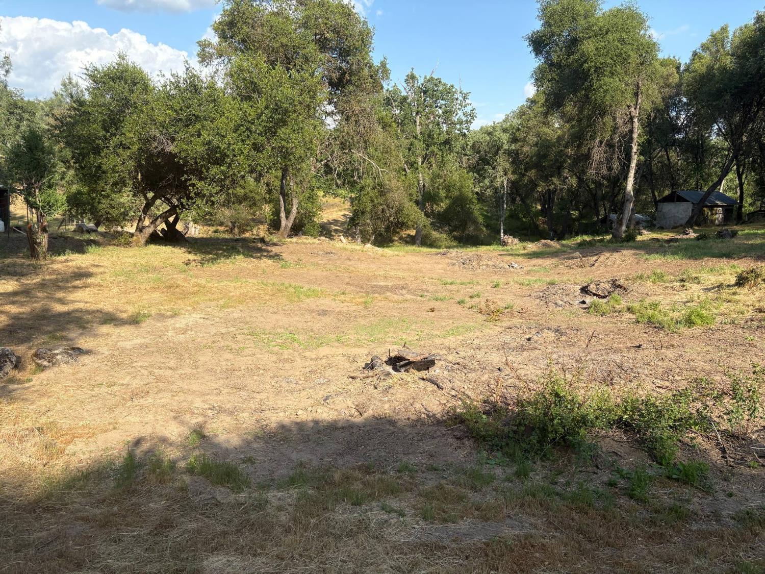 Vacant Lot in Coarsegold - photo 3