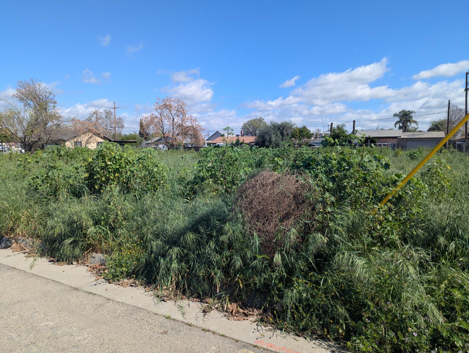 Vacant Lot in Sanger - photo 3