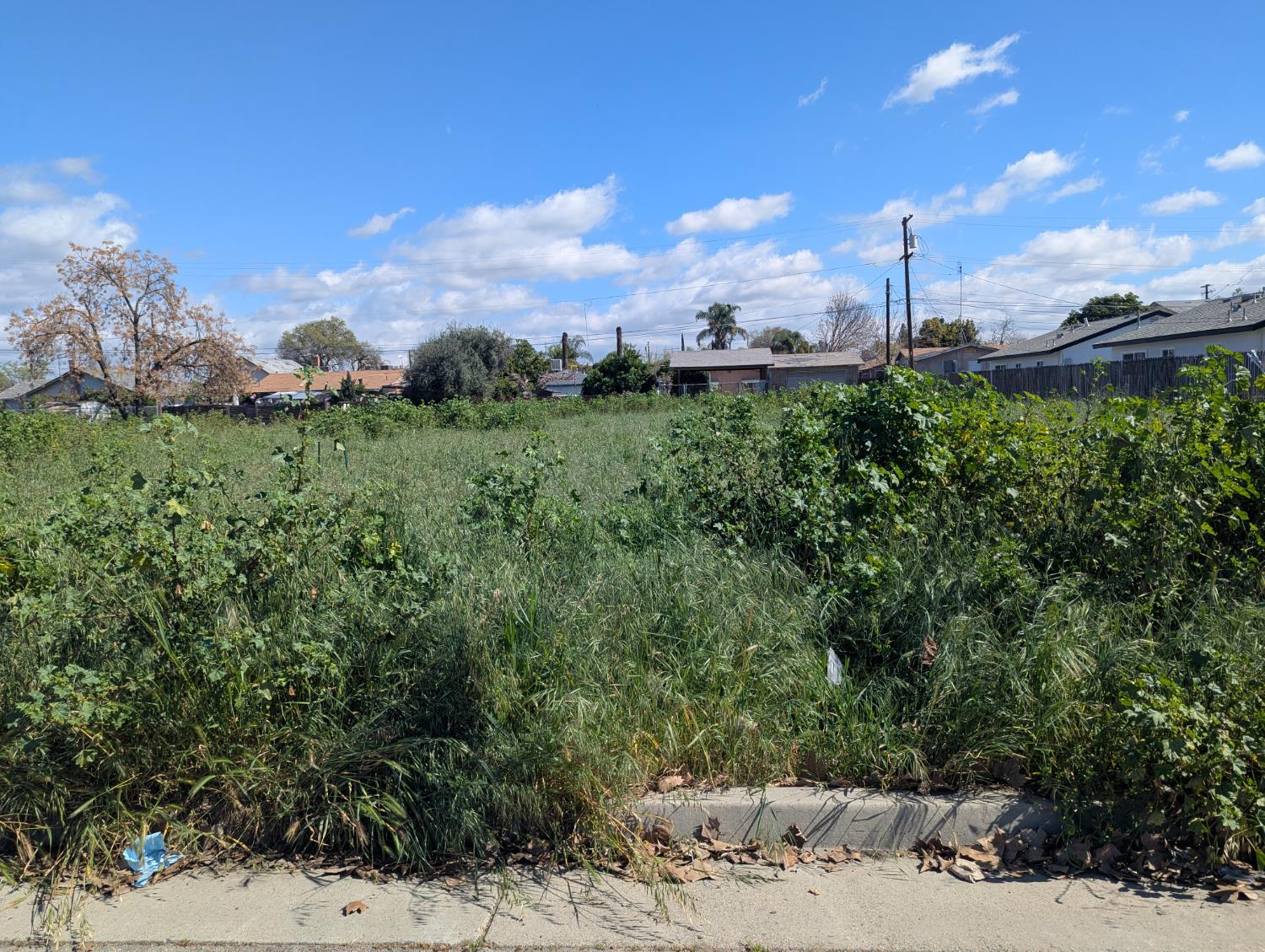 Vacant Lot in Sanger - photo 2