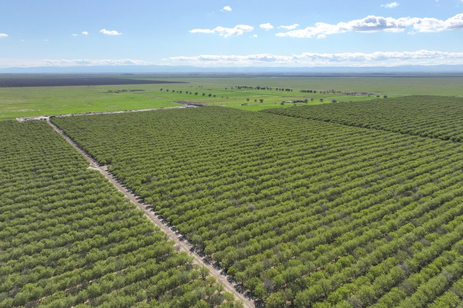 Farm in Madera - photo 2