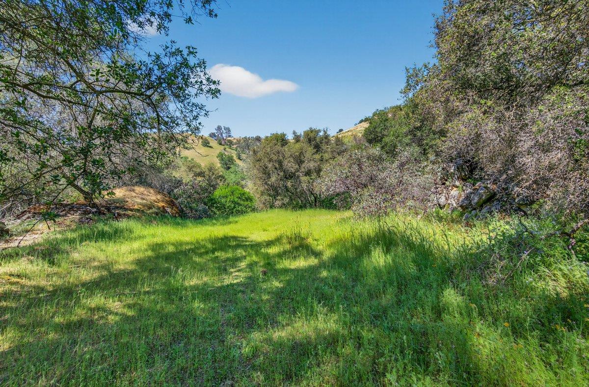 Vacant Lot in Friant - photo 3