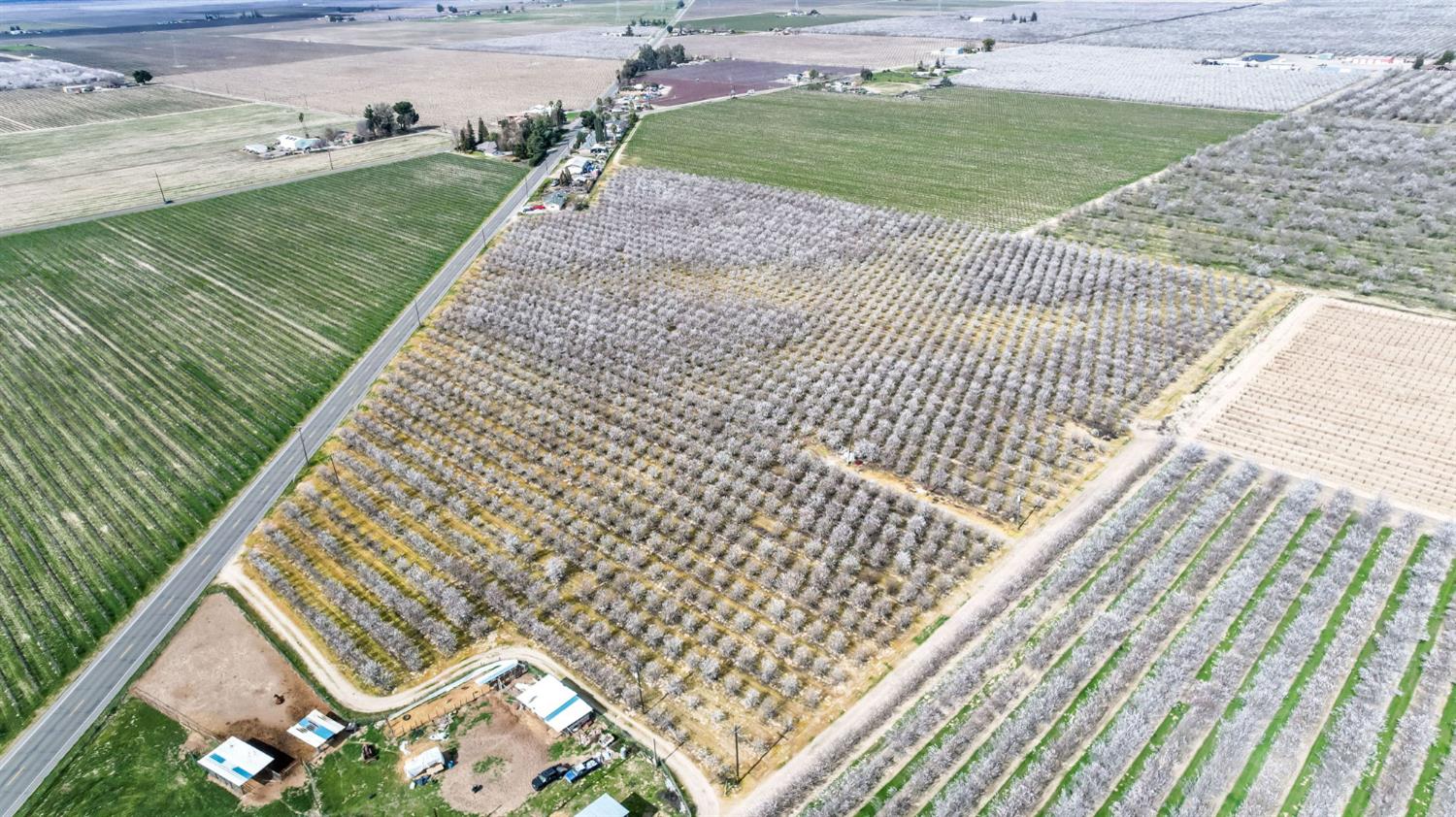 Farm in Fresno - photo 3