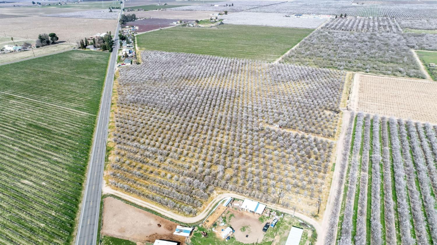 Farm in Fresno - photo 2