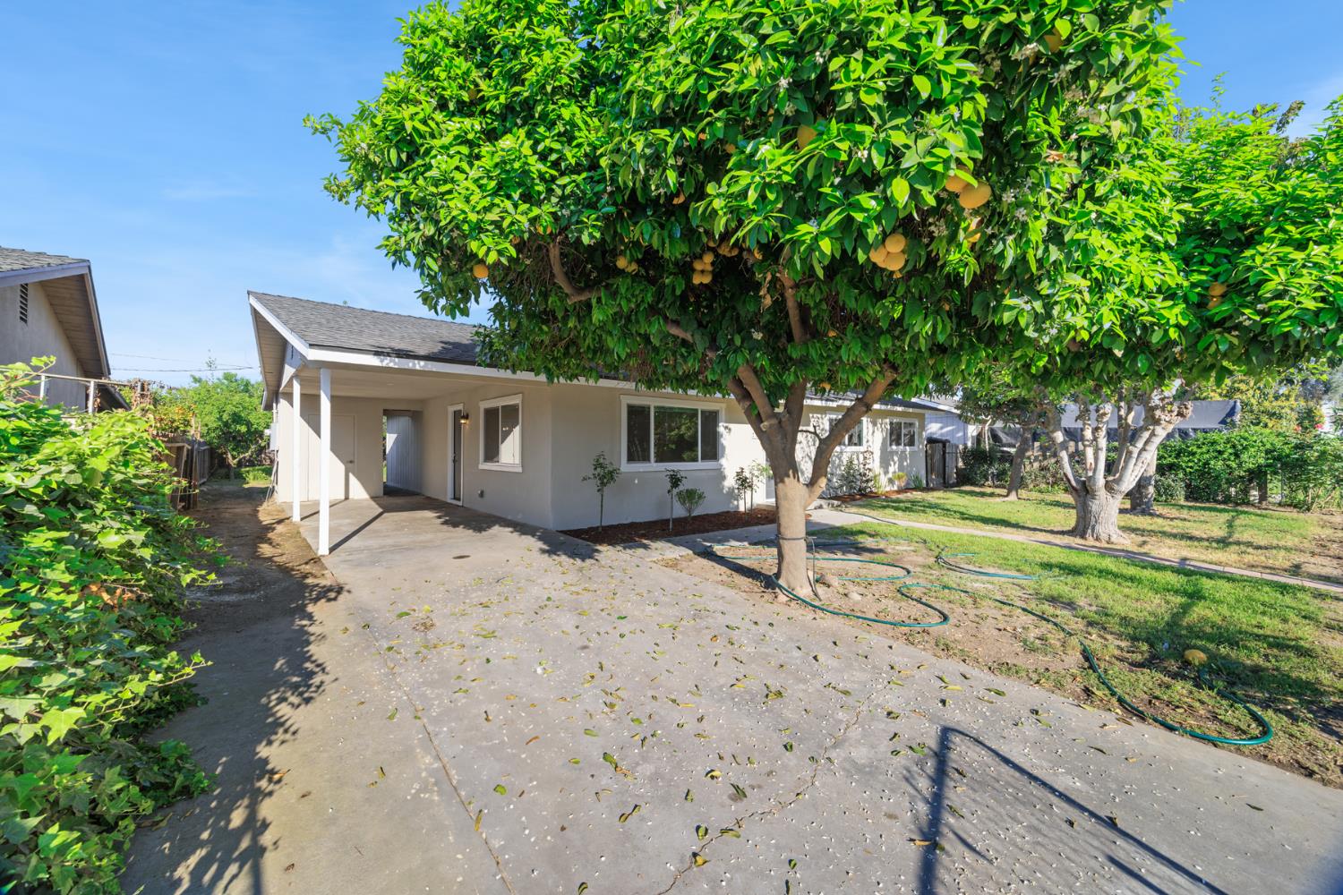 Single Family in Parlier - photo 3