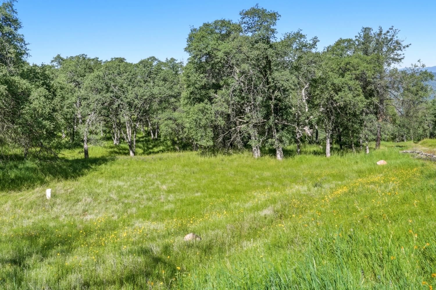 Vacant Lot in Coarsegold - photo 2
