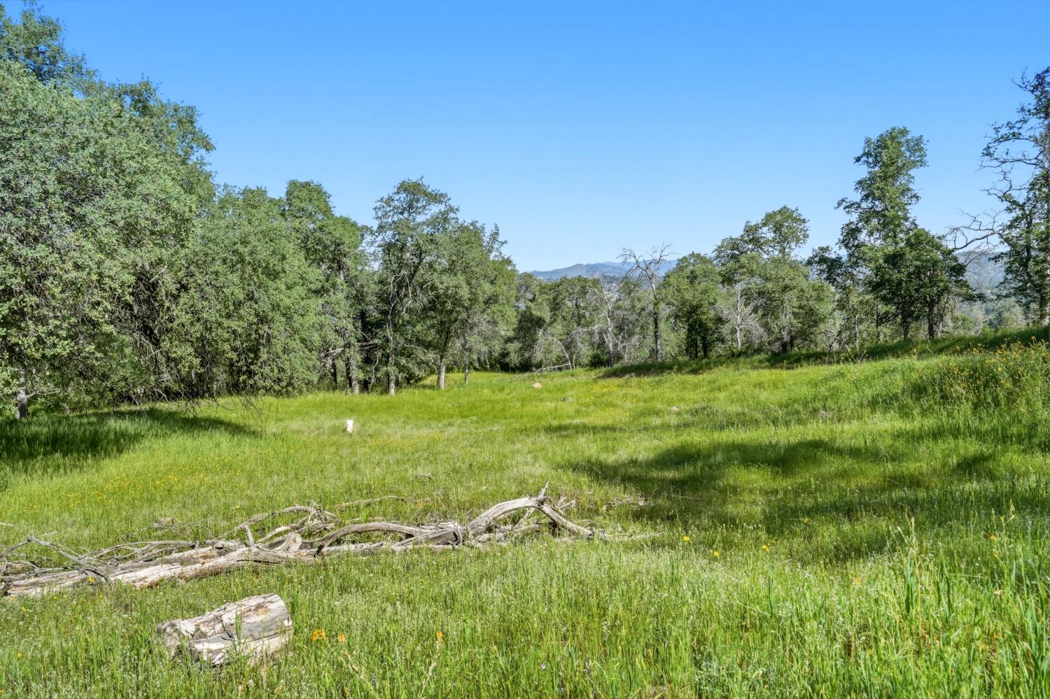 Vacant Lot in Coarsegold - photo 3
