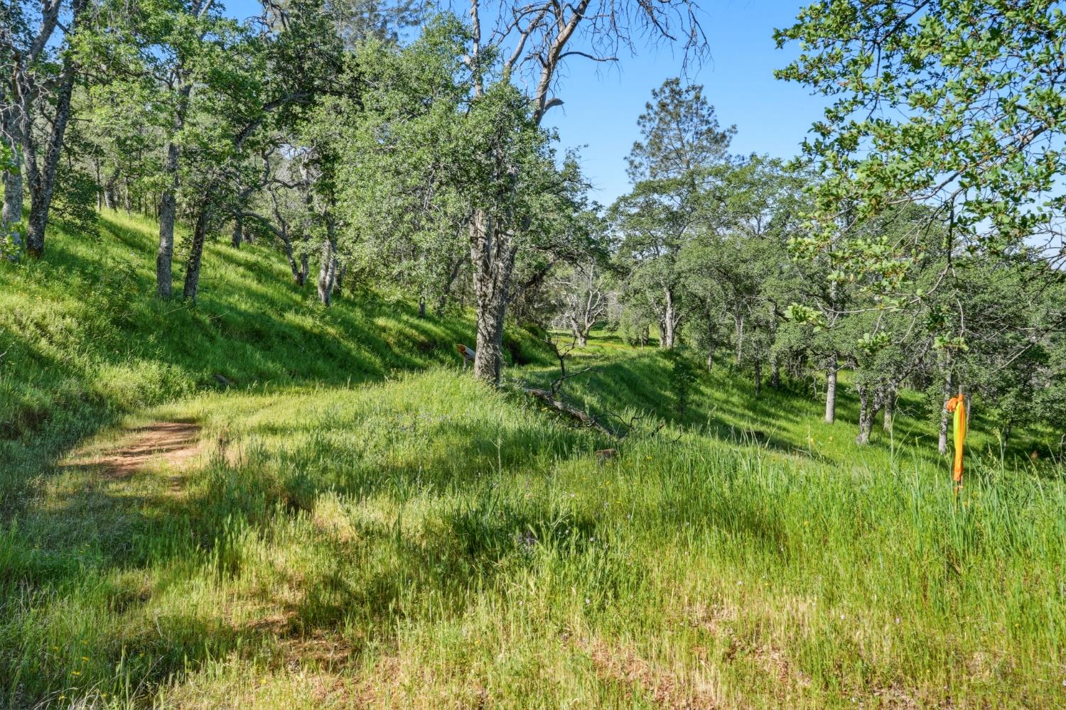 Vacant Lot in Coarsegold