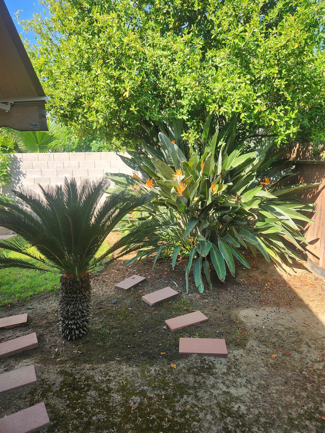Photo 40