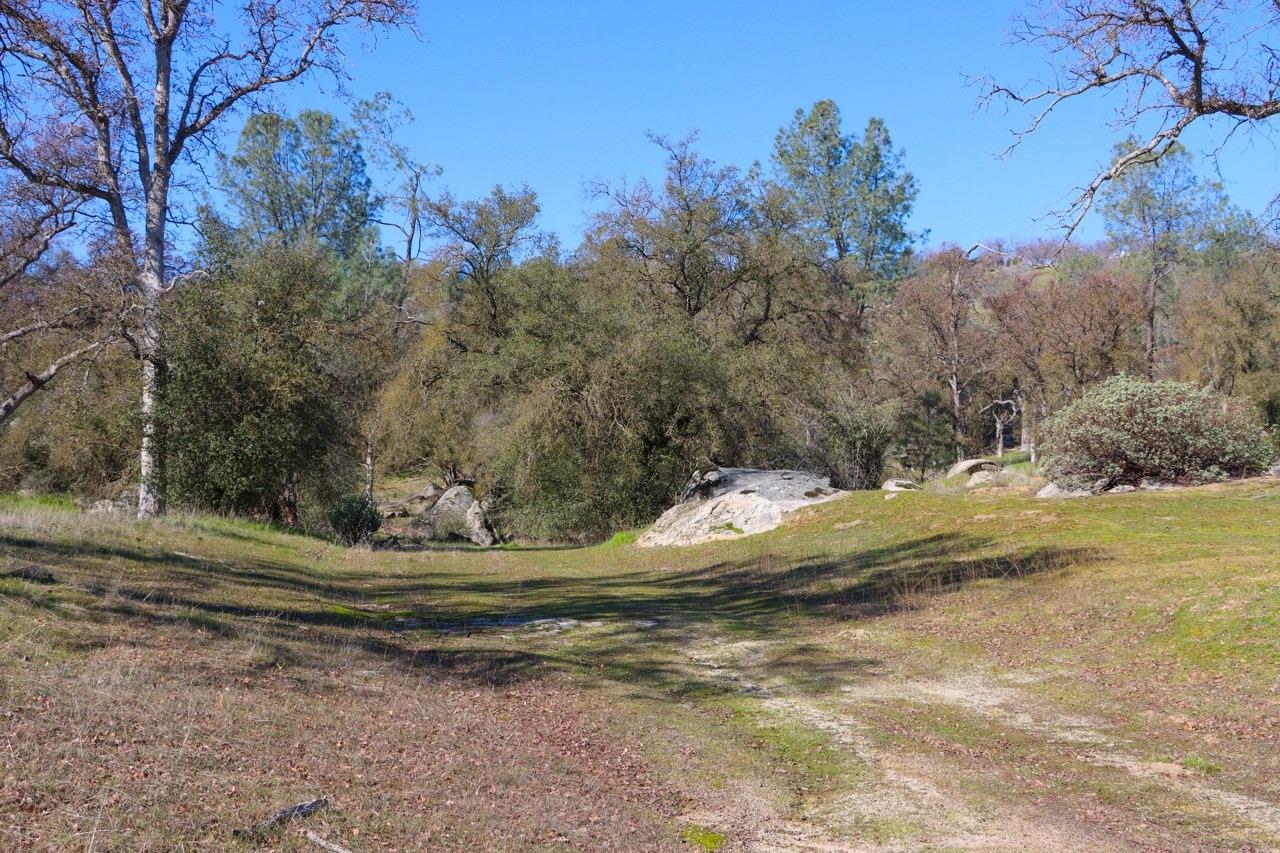 Vacant Lot in Coarsegold - photo 2