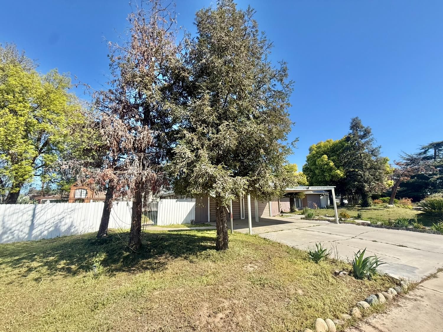 Single Family in Fresno - photo 3
