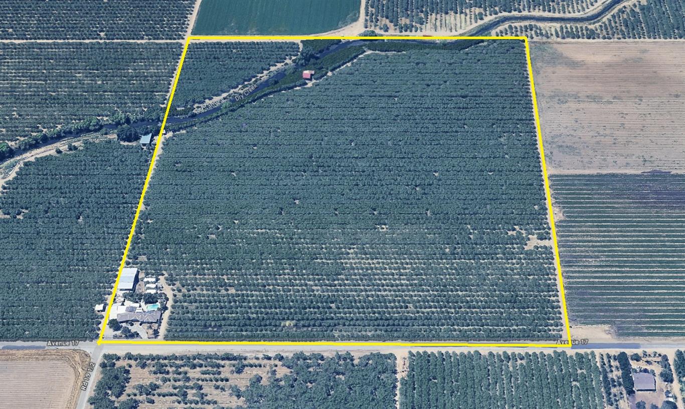 Farm in Madera - photo 3