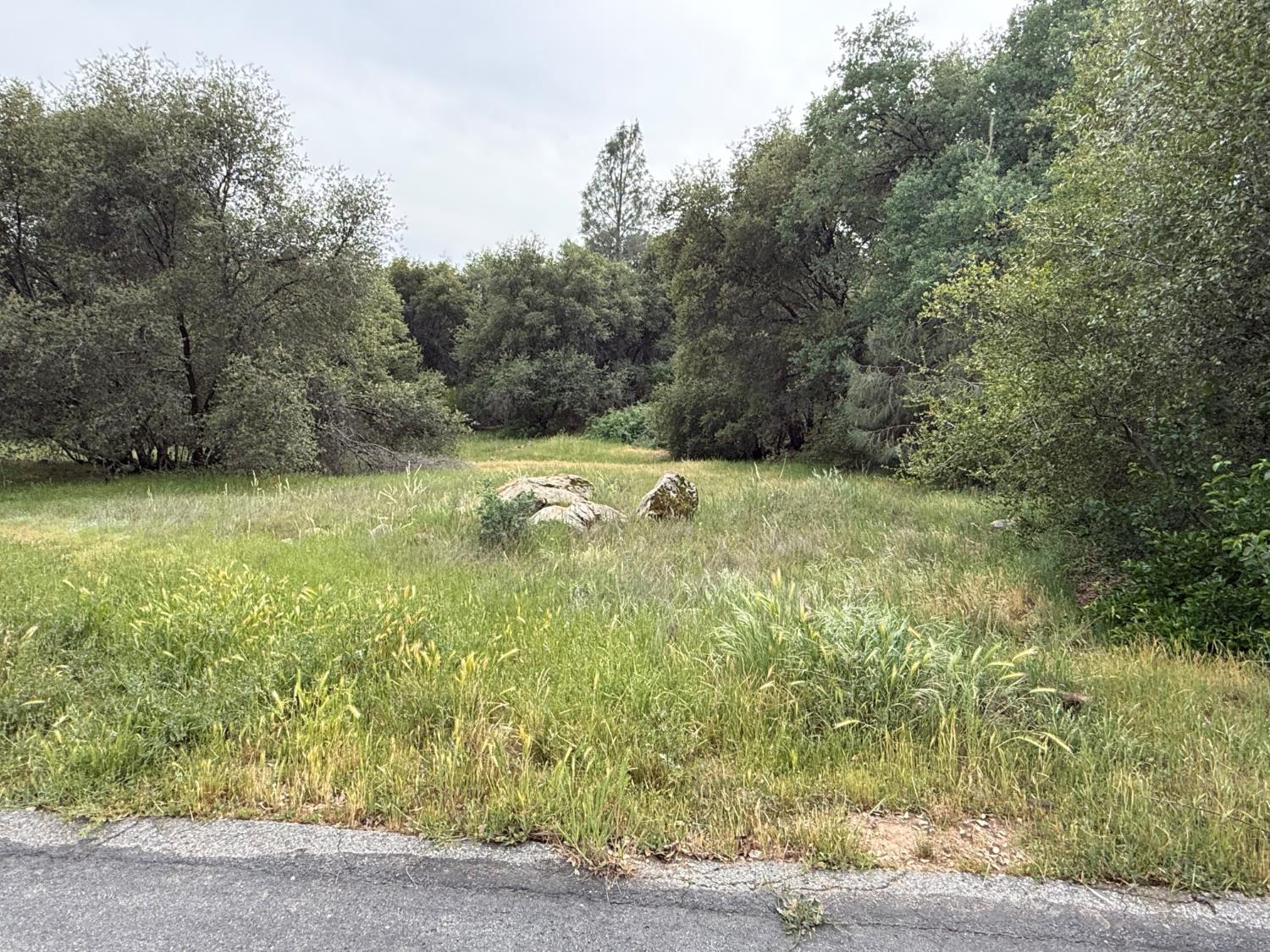 Vacant Lot in Coarsegold - photo 2