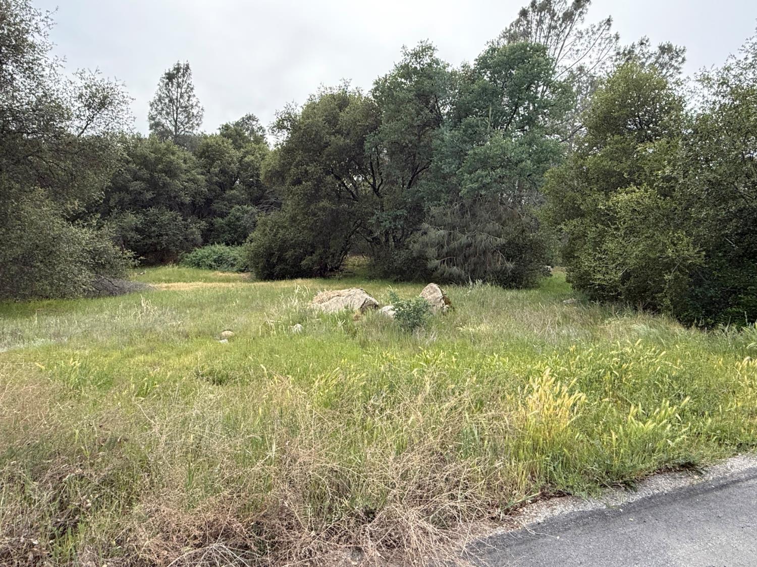 Vacant Lot in Coarsegold - photo 3