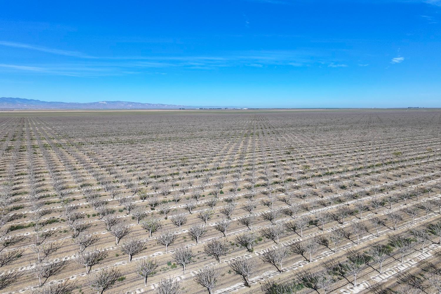 22889 S Colusa Avenue, Five Points, CA, 93624