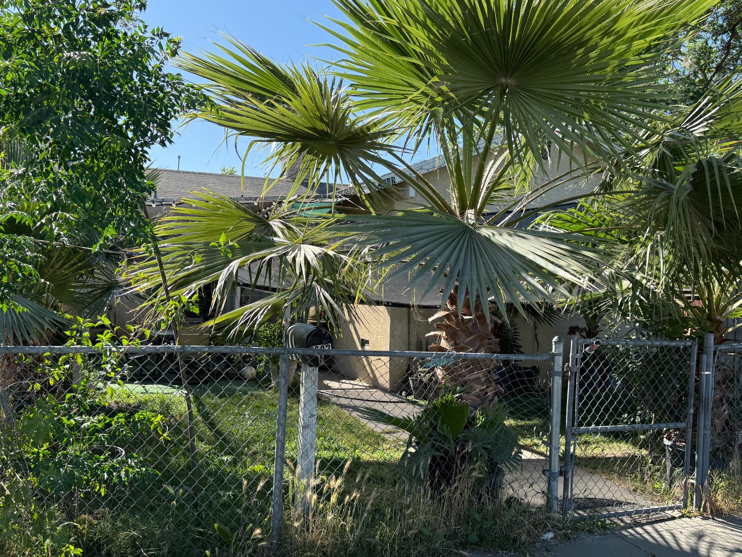 Fourplex in Fresno - photo 2