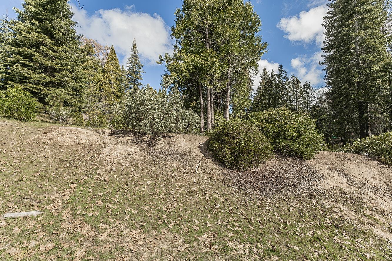 39553 Sunrock, Shaver Lake, CA, 93664