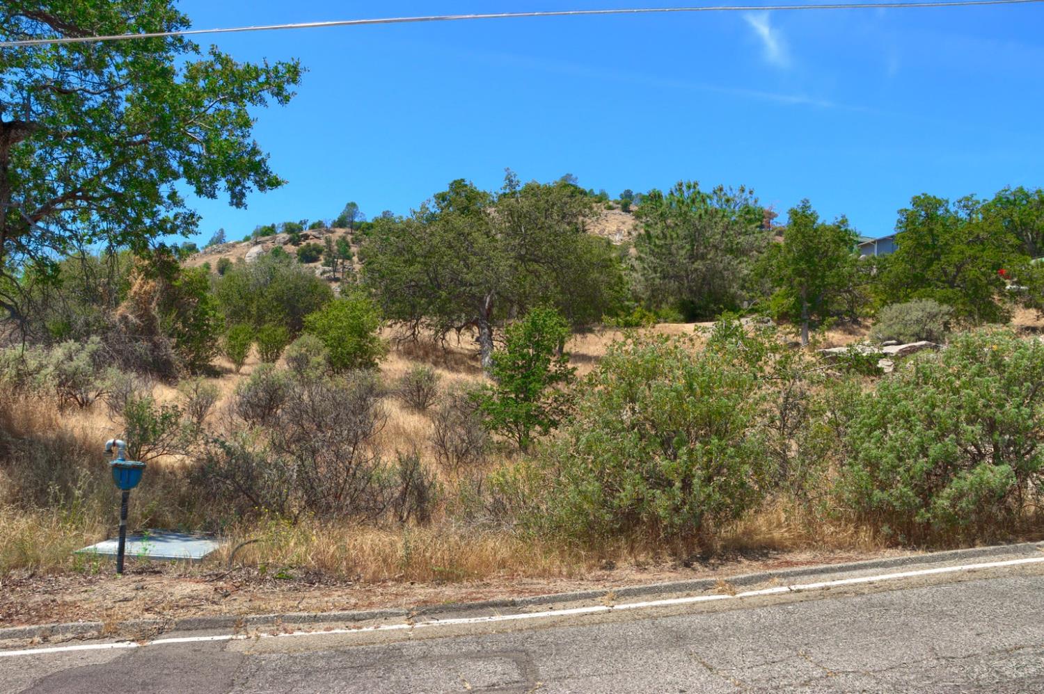 Vacant Lot in Coarsegold - photo 2