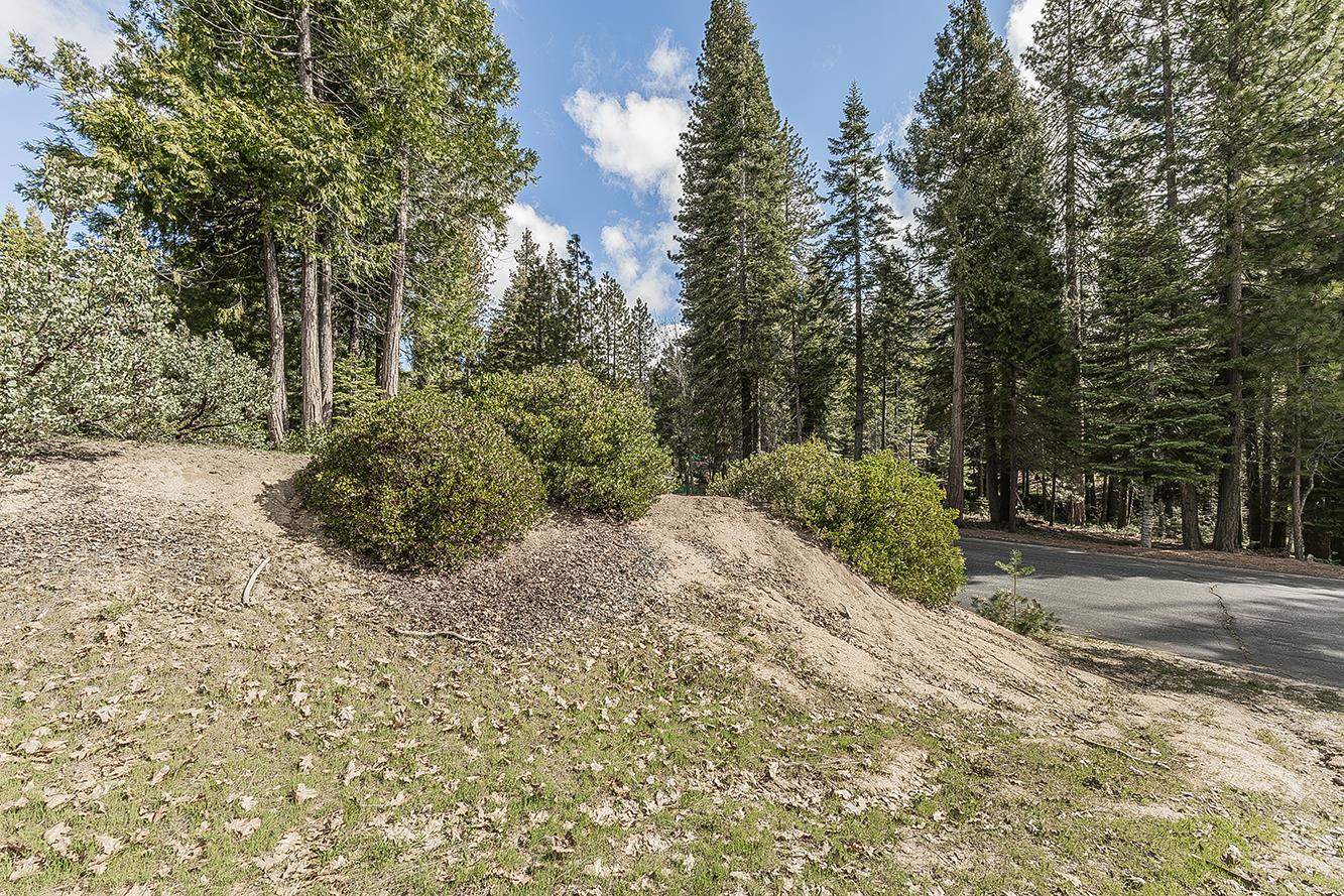 39553 Sunrock, Shaver Lake, CA, 93664