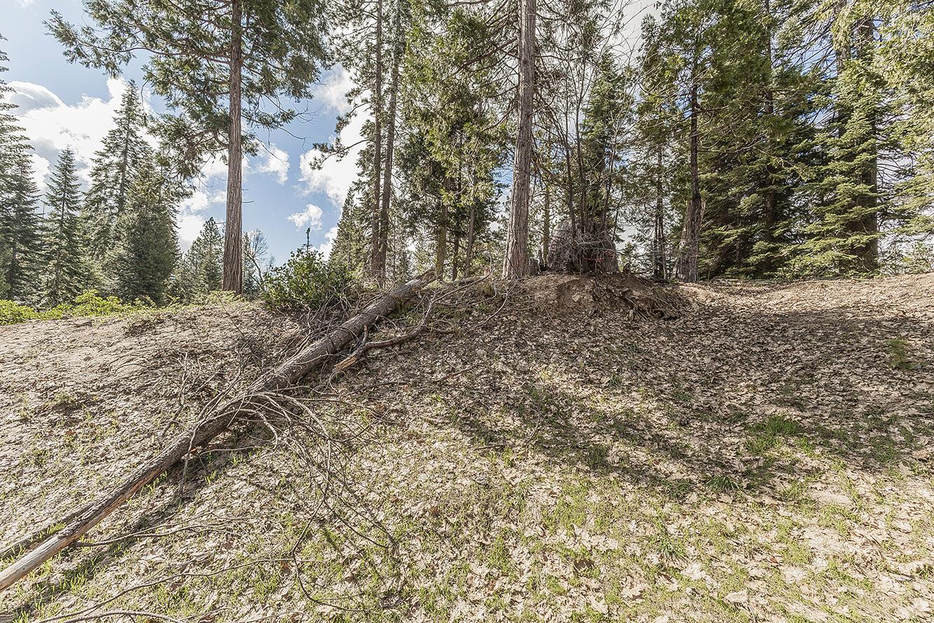 39553 Sunrock, Shaver Lake, CA, 93664