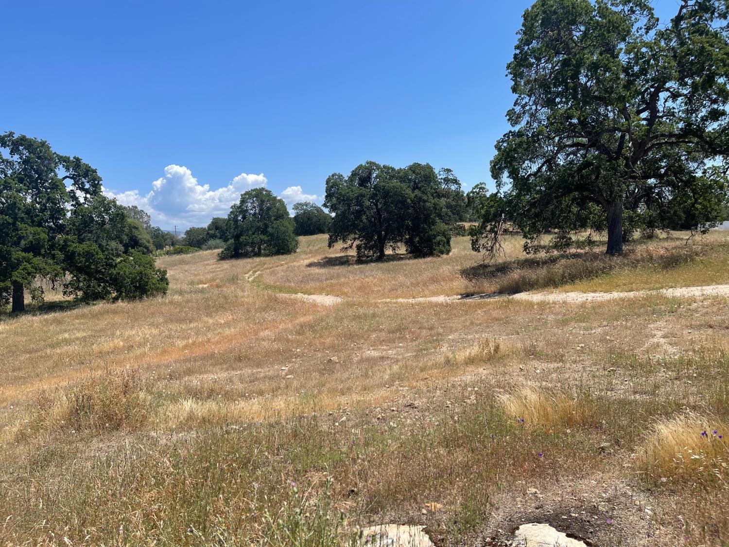 Vacant Lot in Coarsegold - photo 2