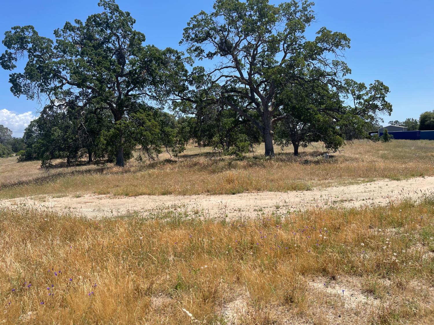 Vacant Lot in Coarsegold