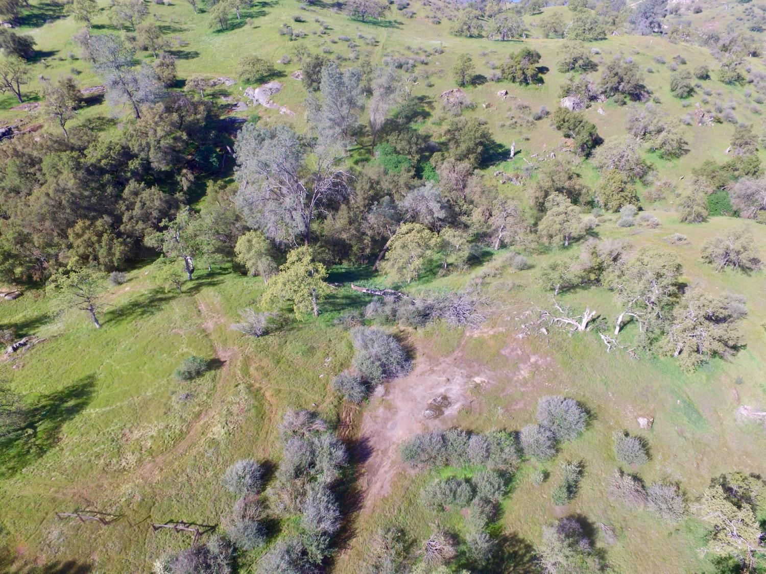 Vacant Lot in Madera - photo 2