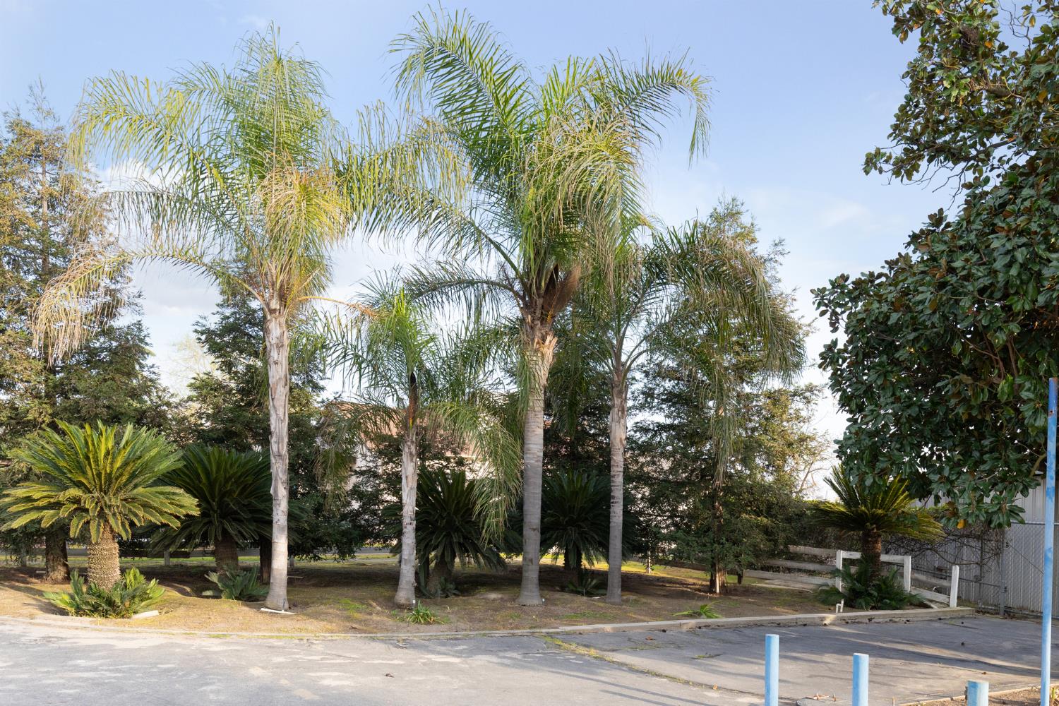 Single Family in Selma - photo 2