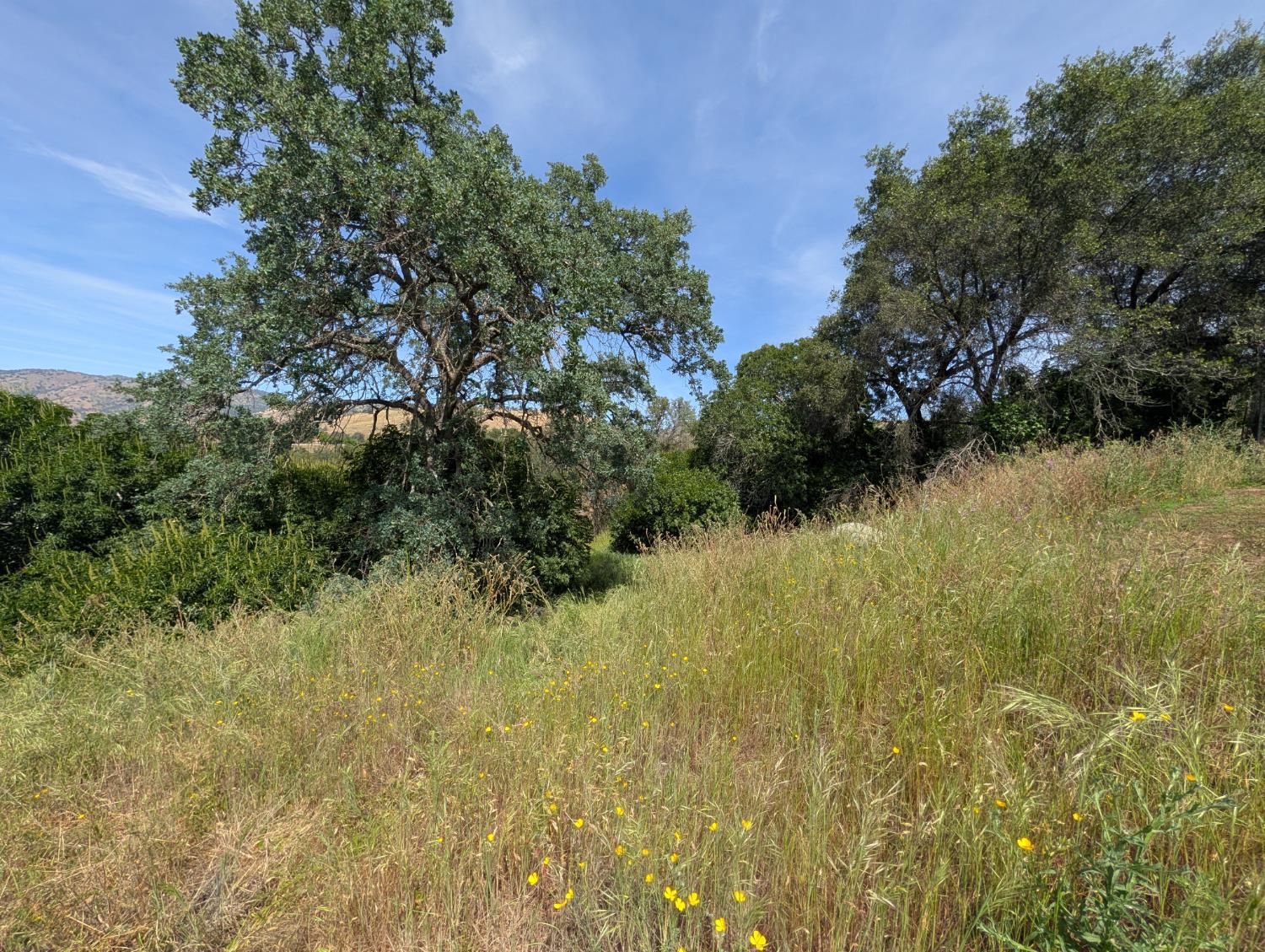 Vacant Lot in Yokuts Valley - photo 2