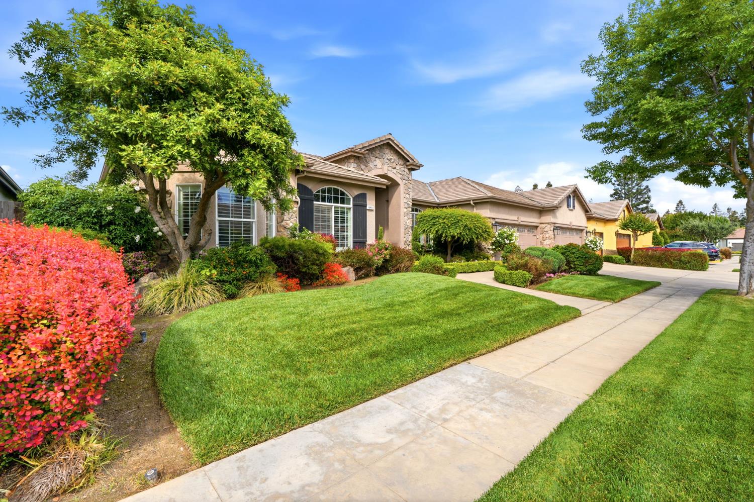 Single Family in Clovis - photo 3