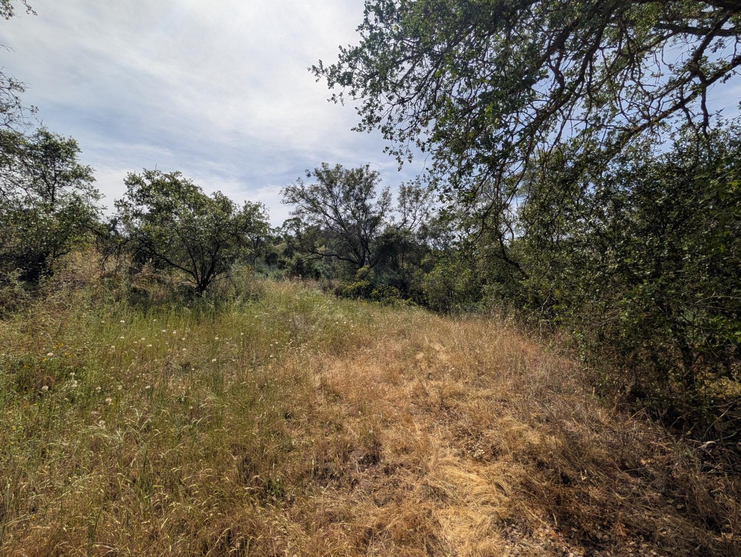Vacant Lot in Yokuts Valley - photo 3