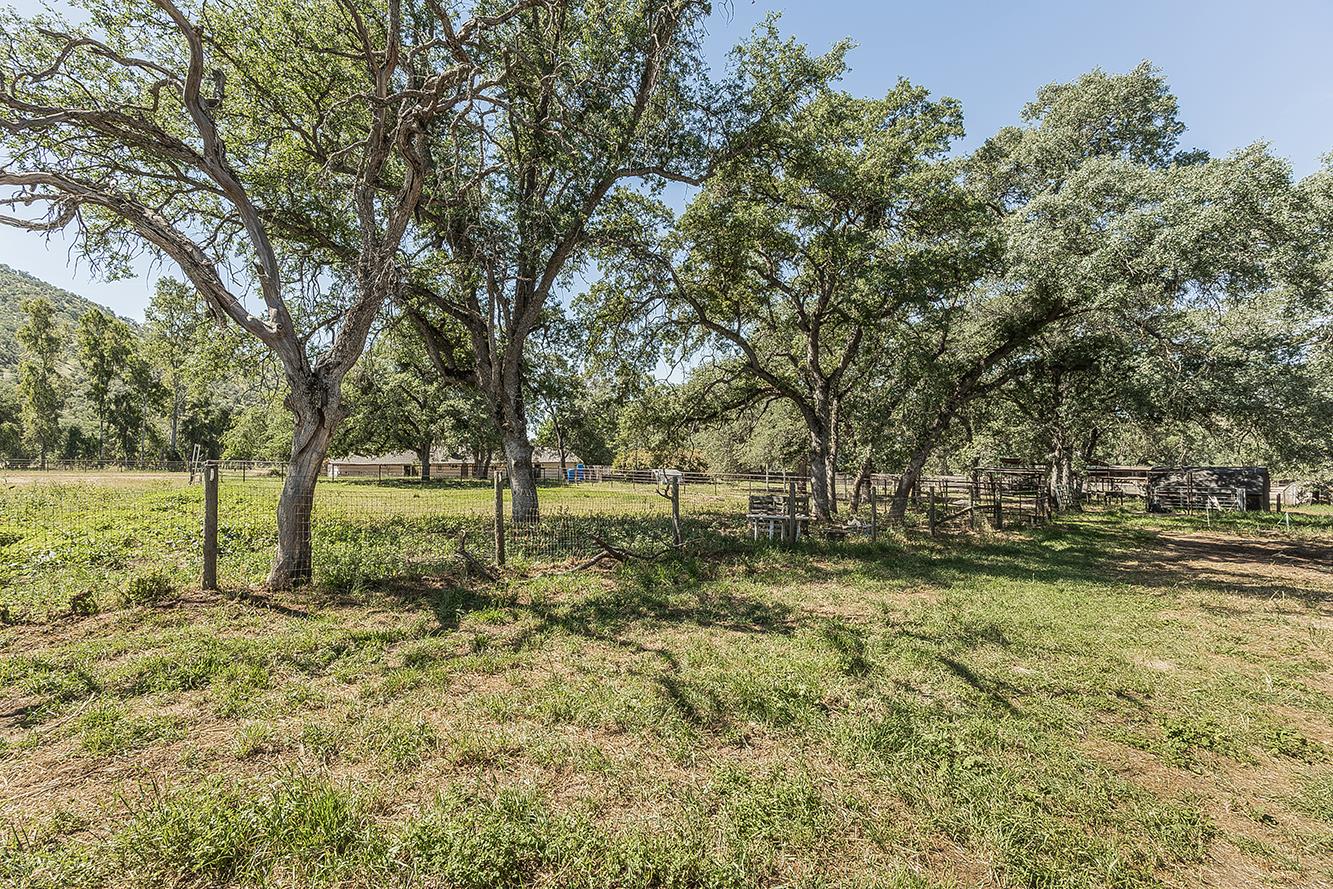 26045 Pittman Hill (Sales Crk) Road, Clovis, CA, 93619